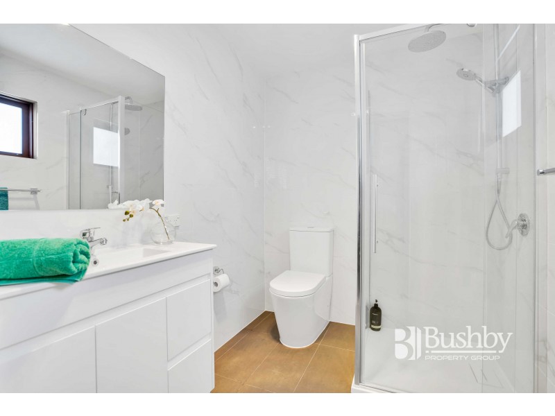 19 Albion Street, Invermay TAS 7248