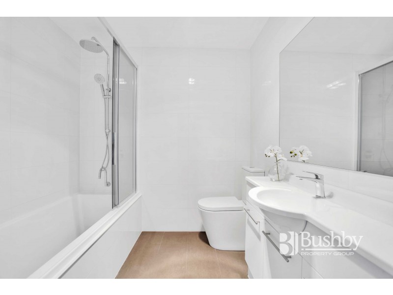 19 Albion Street, Invermay TAS 7248