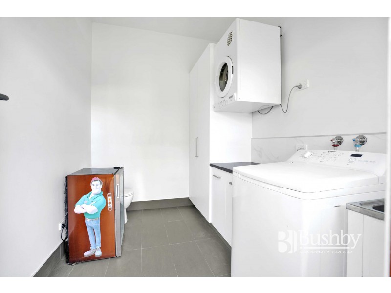 19 Albion Street, Invermay TAS 7248