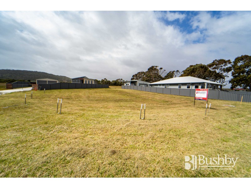 10 Rose Avenue, George Town TAS 7253