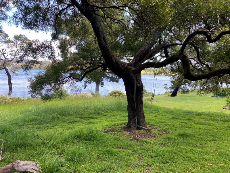 14 Tamar Avenue, George Town TAS 7253