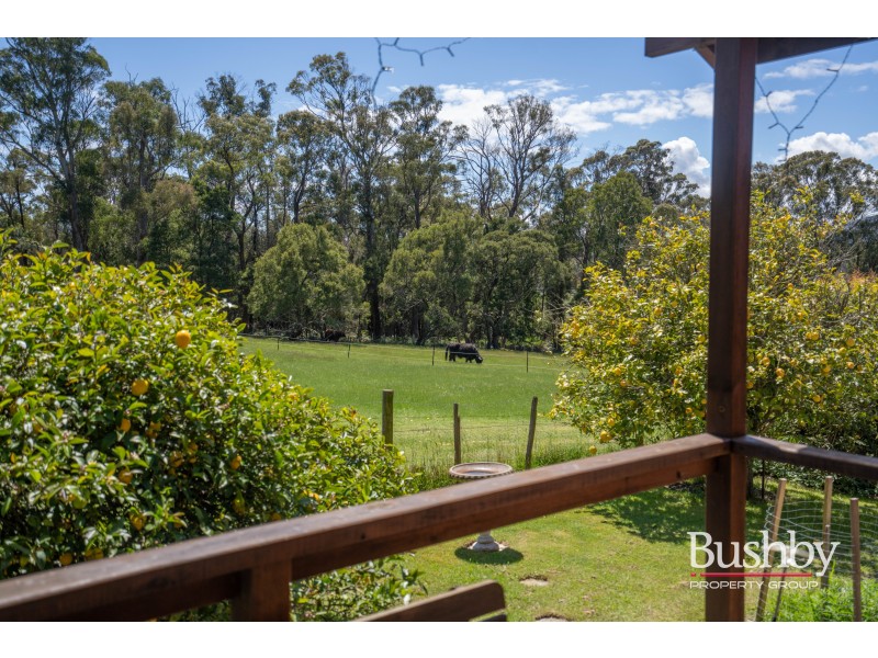 493 Gravelly Beach Road, Gravelly Beach TAS 7276