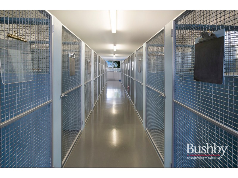 126 Blessington Road, St Leonards TAS 7250