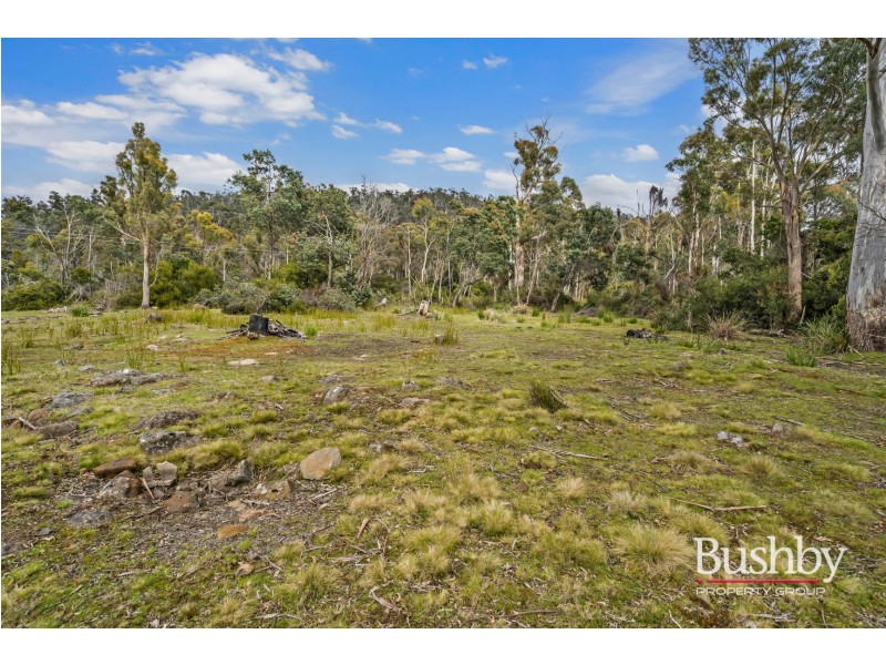 40104 Tasman Highway, Nunamara TAS 7259