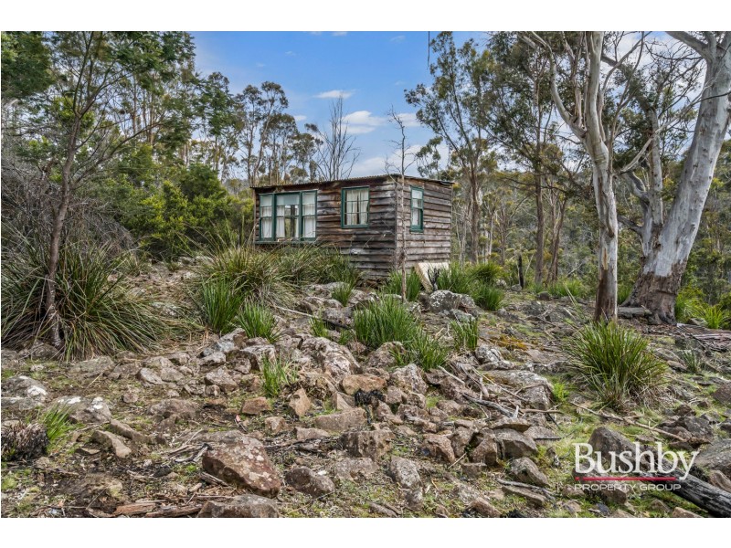 40104 Tasman Highway, Nunamara TAS 7259