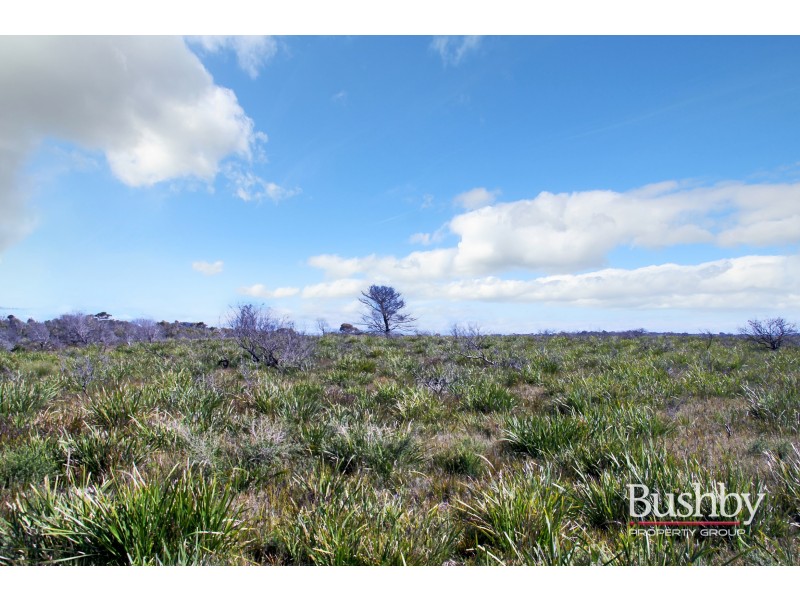 1778 Tasman Highway, Beaumaris TAS 7215