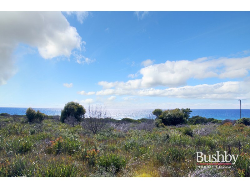 1778 Tasman Highway, Beaumaris TAS 7215