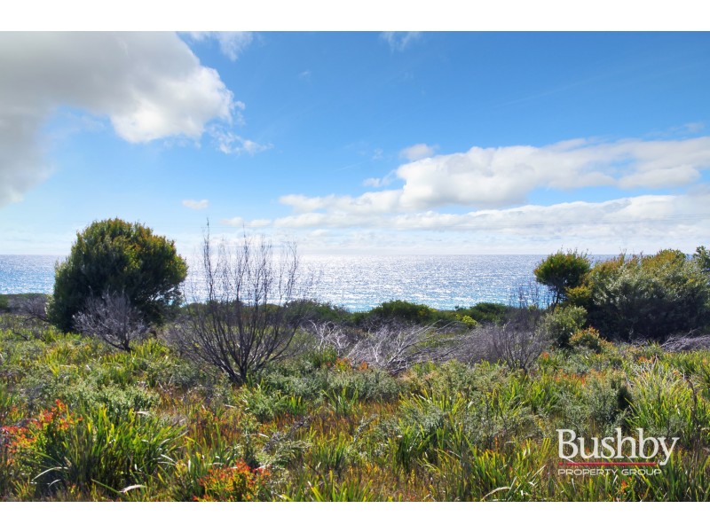 1778 Tasman Highway, Beaumaris TAS 7215
