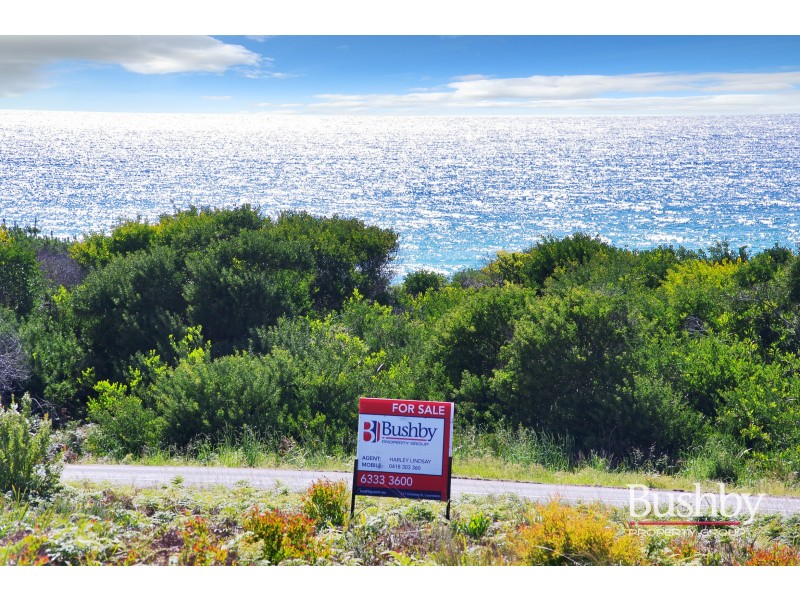 1778 Tasman Highway, Beaumaris TAS 7215