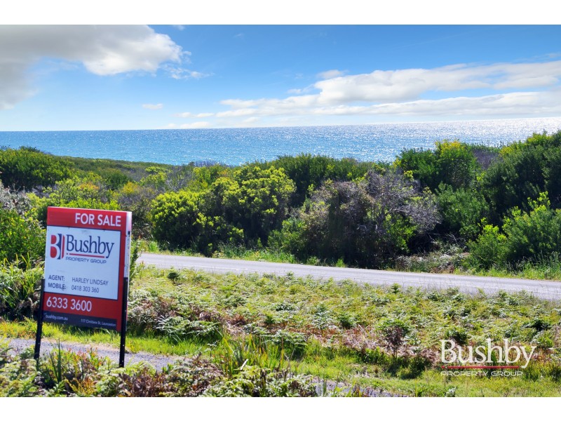 1778 Tasman Highway, Beaumaris TAS 7215