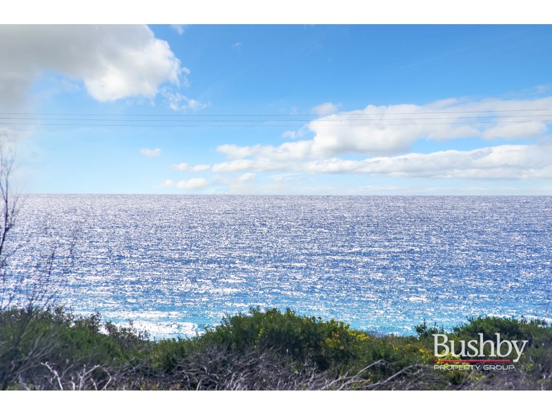 1778 Tasman Highway, Beaumaris TAS 7215