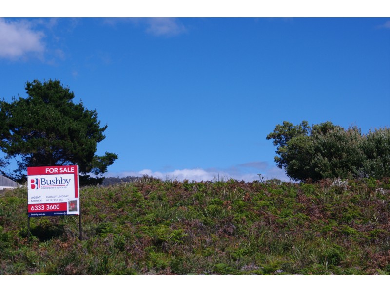 1778 Tasman Highway, Beaumaris TAS 7215