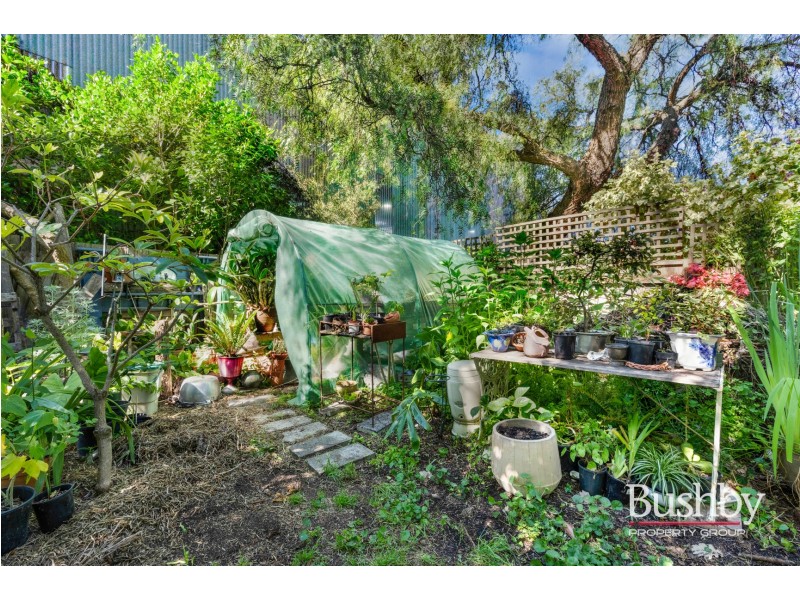 31 Windsor Street, Invermay TAS 7248