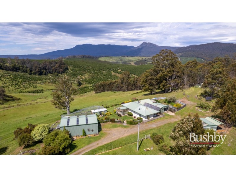 184 Hayes Road, Blessington TAS 7212