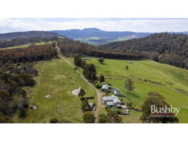 184 Hayes Road, Blessington TAS 7212