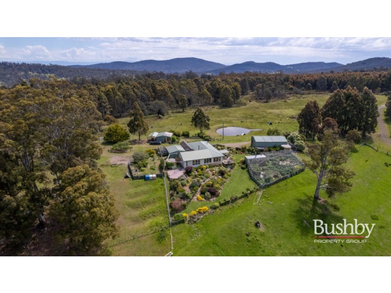 184 Hayes Road, Blessington TAS 7212
