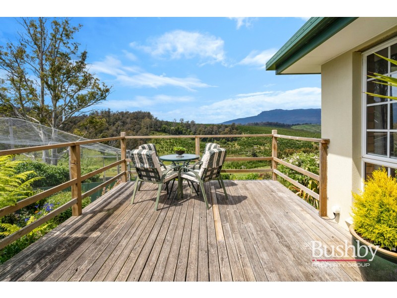 184 Hayes Road, Blessington TAS 7212