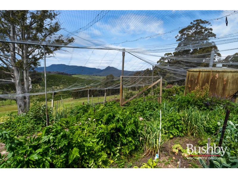 184 Hayes Road, Blessington TAS 7212
