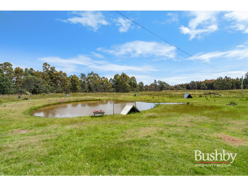 184 Hayes Road, Blessington TAS 7212