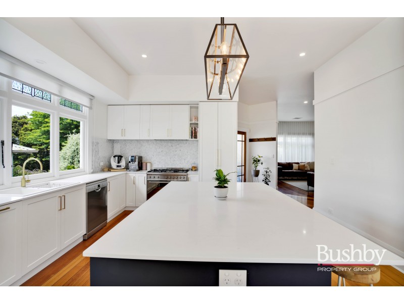 20 David Street, Newstead TAS 7250