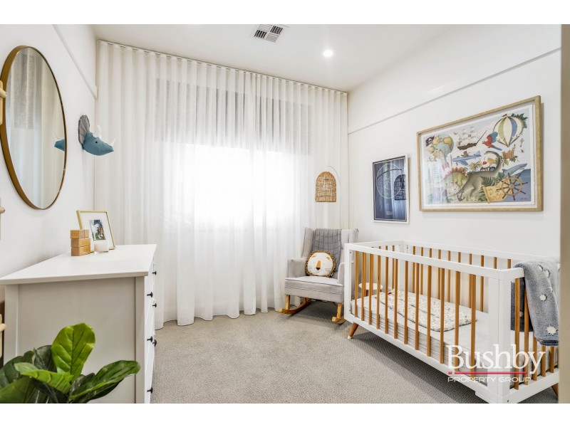 20 David Street, Newstead TAS 7250