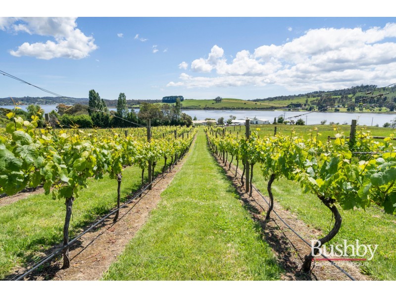 239 Rosevears Drive, Rosevears TAS 7277