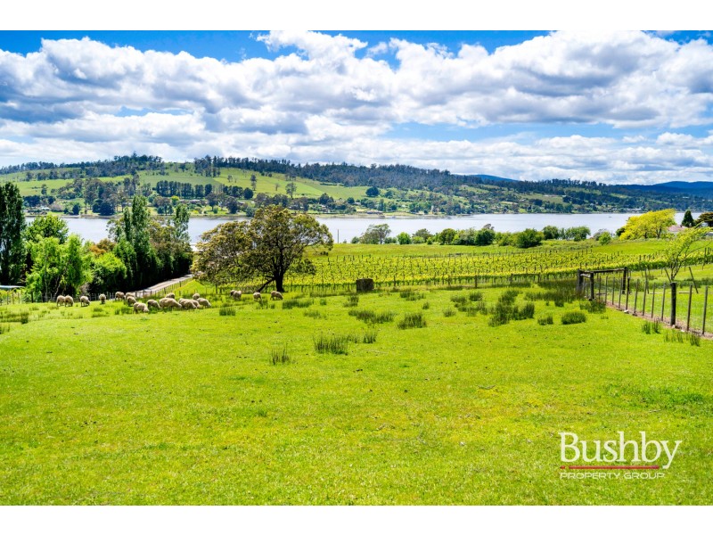 239 Rosevears Drive, Rosevears TAS 7277