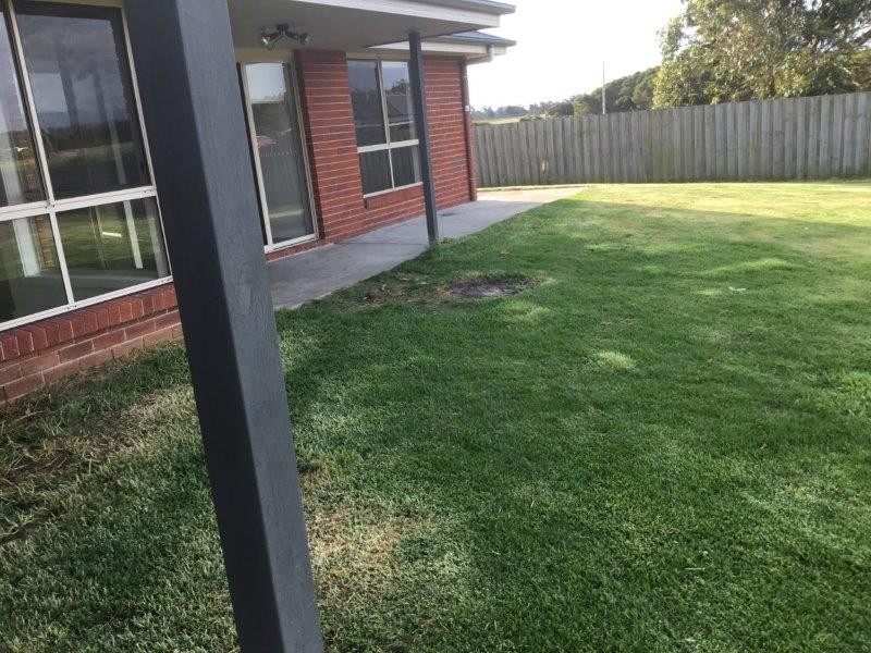 9 Axton close, George Town TAS 7253