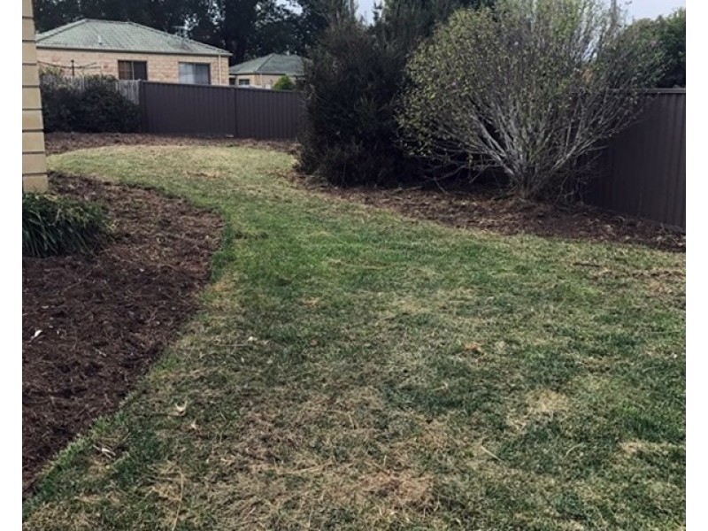 2 Patricia Place, Newnham TAS 7248