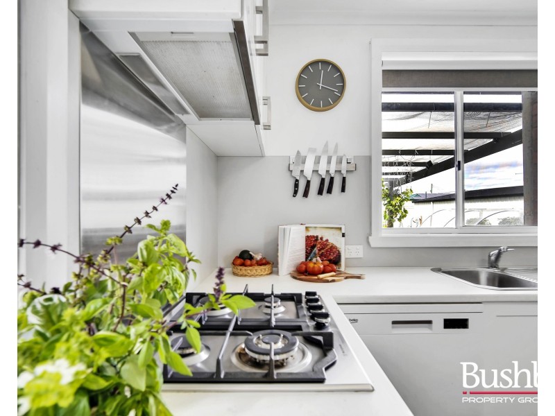 17 Parish Crescent, George Town TAS 7253