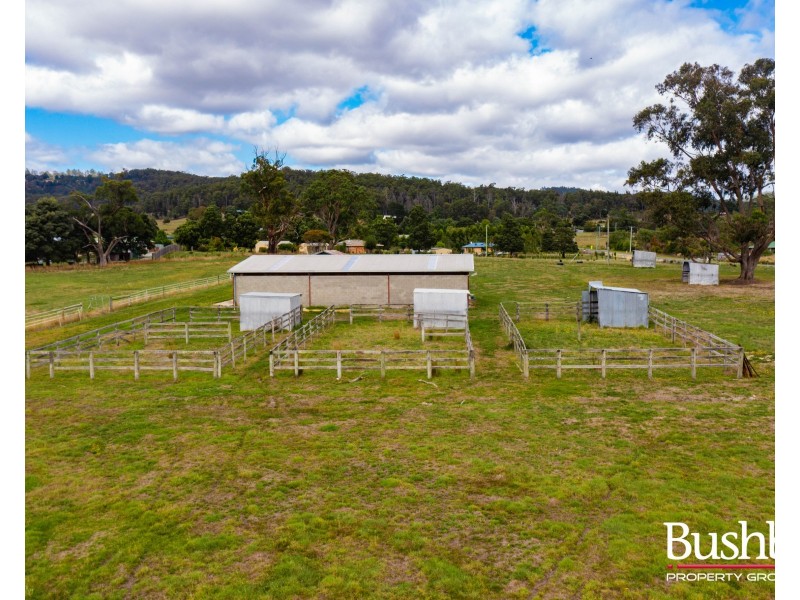 426 Loop Road, Glengarry TAS 7275