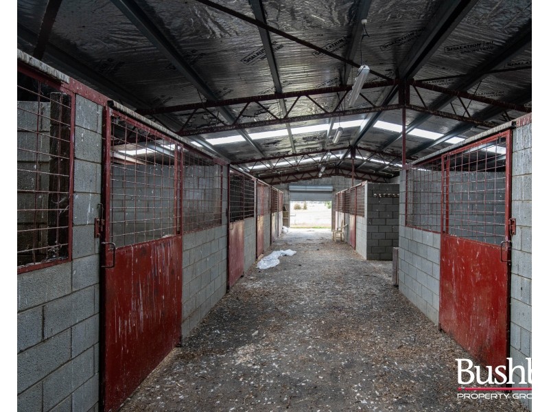 426 Loop Road, Glengarry TAS 7275