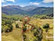 504 Musselboro Road, Blessington TAS 7212