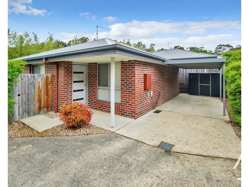 1/5 Rankine Street, Riverside TAS 7250