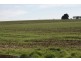 Lots 2 – 5 Trafalgar, Evandale TAS 7212