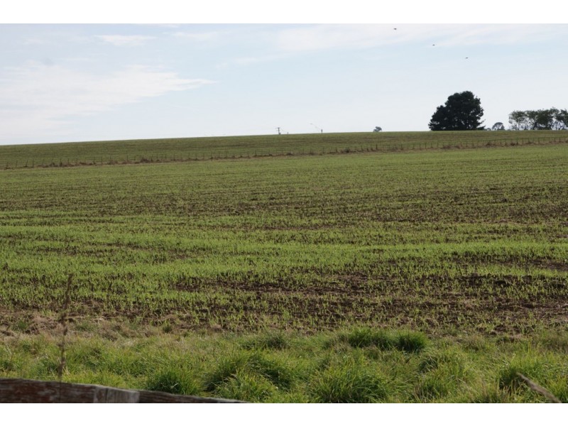 Lots 2 – 5 Trafalgar, Evandale TAS 7212