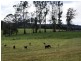 5284 Bass Highway, Deloraine TAS 7304
