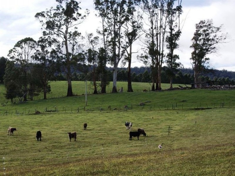 5284 Bass Highway, Deloraine TAS 7304