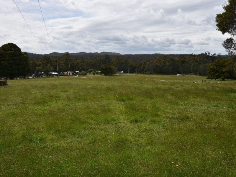 125 Wadleys Road, Reedy Marsh TAS 7304