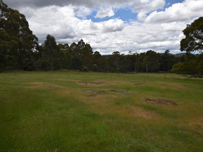 125 Wadleys Road, Reedy Marsh TAS 7304