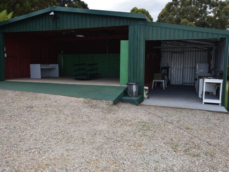 125 Wadleys Road, Reedy Marsh TAS 7304