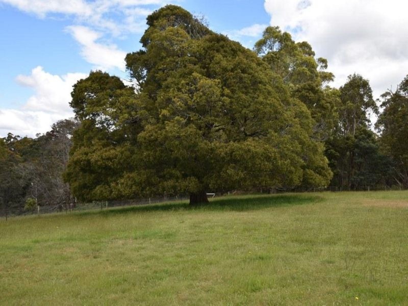 125 Wadleys Road, Reedy Marsh TAS 7304