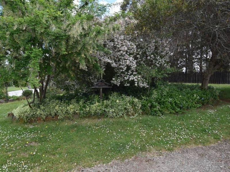 125 Wadleys Road, Reedy Marsh TAS 7304