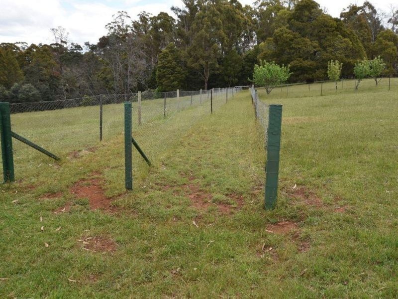 125 Wadleys Road, Reedy Marsh TAS 7304