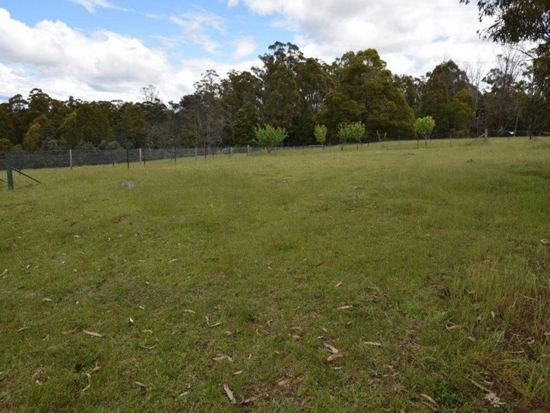 125 Wadleys Road, Reedy Marsh TAS 7304