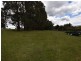 125 Wadleys Road, Reedy Marsh TAS 7304