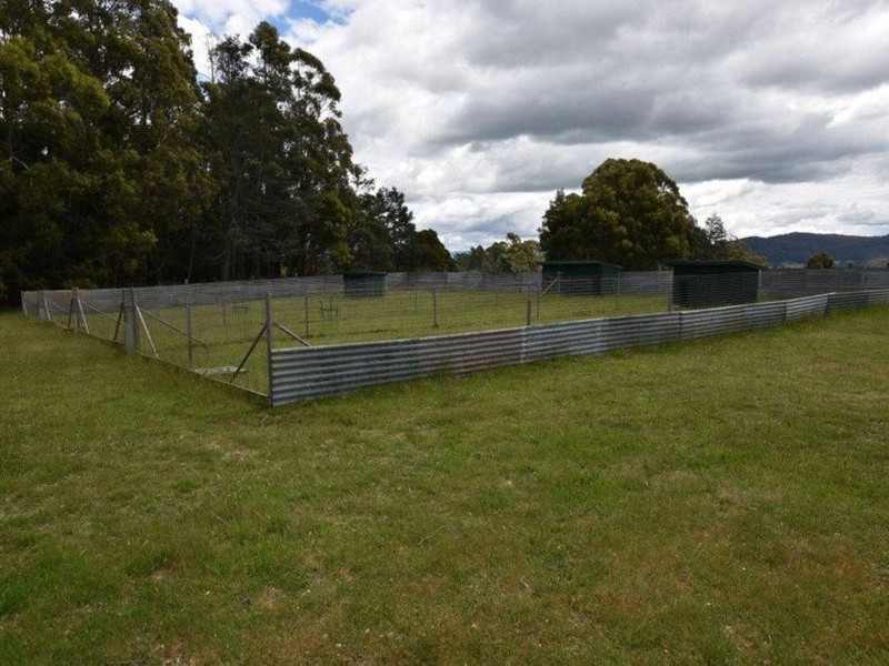 125 Wadleys Road, Reedy Marsh TAS 7304