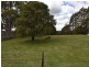 125 Wadleys Road, Reedy Marsh TAS 7304