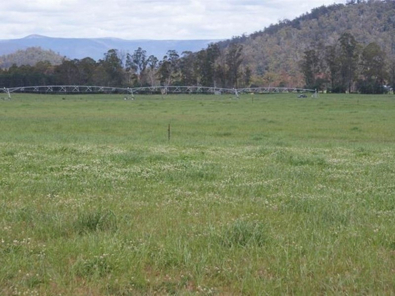 14439 Highland Lakes Road, Deloraine TAS 7304