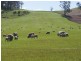 576 Bengeo Road, Deloraine TAS 7304